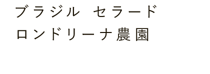 ブラジル セラード ロンドリーナ農園