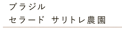 ブラジル セラード サリトレ農園