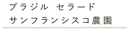 ブラジル セラード サンフランシスコ農園