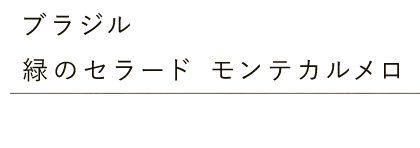 ブラジル 緑のセラード モンテカルメロ