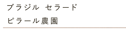 ブラジル セラード ピラール農園