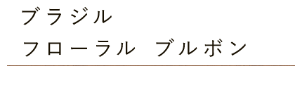 ブラジル・フローラルブルボン｜「珈琲豆 優」