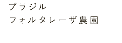 ブラジル・フォルタレーザ農園