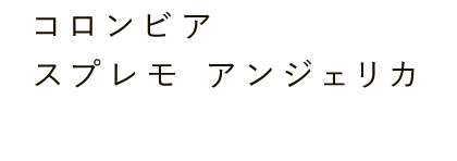 コロンビア スプレモ アンジェリカ