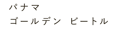 パナマ ゴールデンビートル