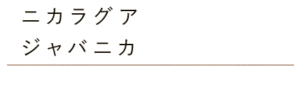 ニカラグア ジャバニカ