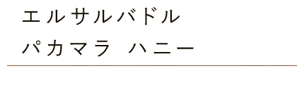 エルサルバドル パカマラ ハニー