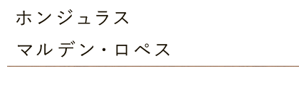 ホンジュラス マルデン・ロペス