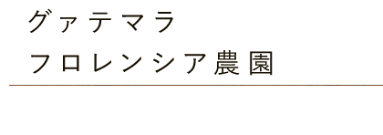 グァテマラ・フロレンシア農園