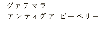 グァテマラ・アンティグアピーベリー