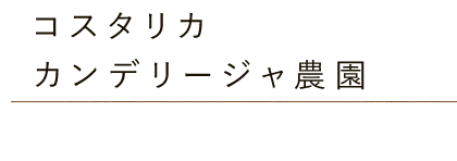 コスタリカ・カンデリージャ農園