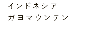 インドネシア・ガヨマウンテン