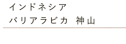 インドネシア・バリアラビカ神山