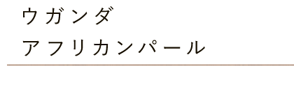 ウガンダ アフリカンパール