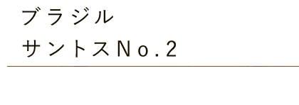 ブラジル・サントスNo.2