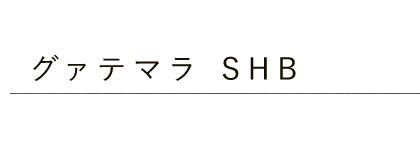 グァテマラ・SHB