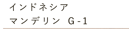 インドネシア・マンデリンG-1