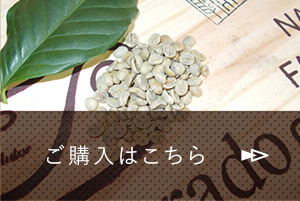 ご購入はこちら