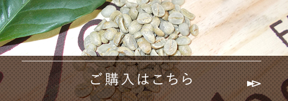ご購入はこちら