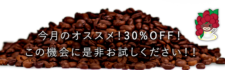 今月のオススメ！30%OFF！